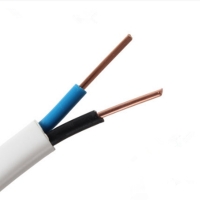 正泰电线电缆BVVB|2*2.5平方100米|二芯护套线|白色扁平行铜芯线|电梯井道电缆线